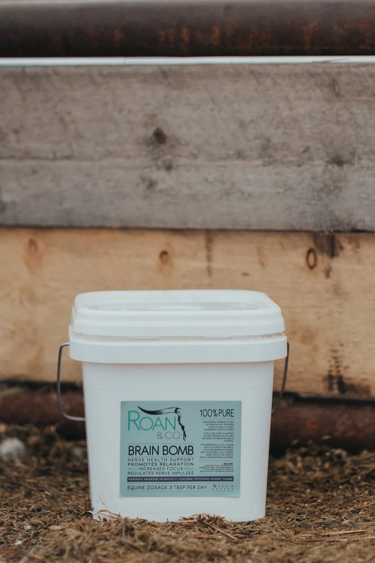 🇨🇦 Brain Bomb by Roan & Co