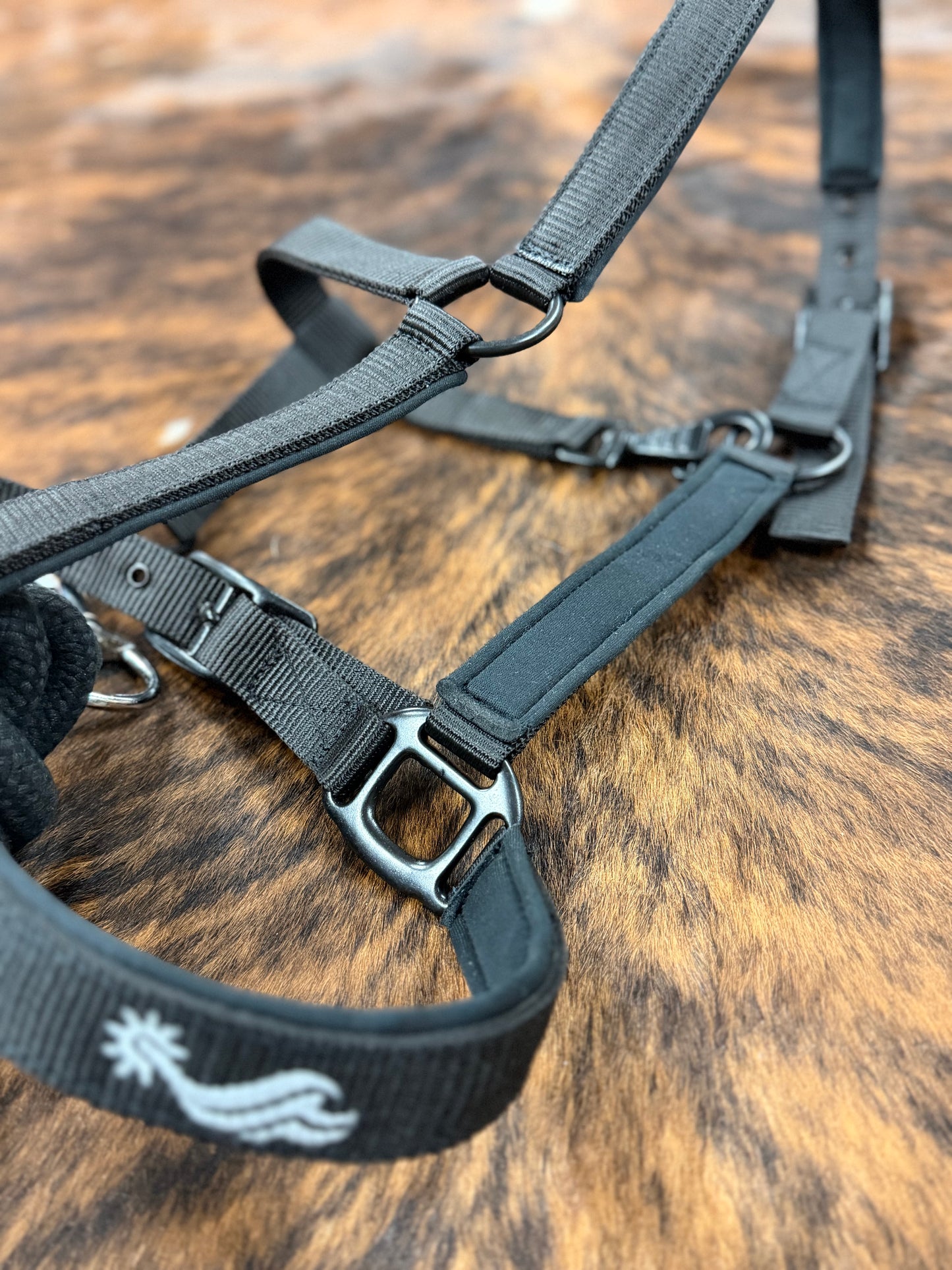 SpurEast Equine Black Halter & Lead