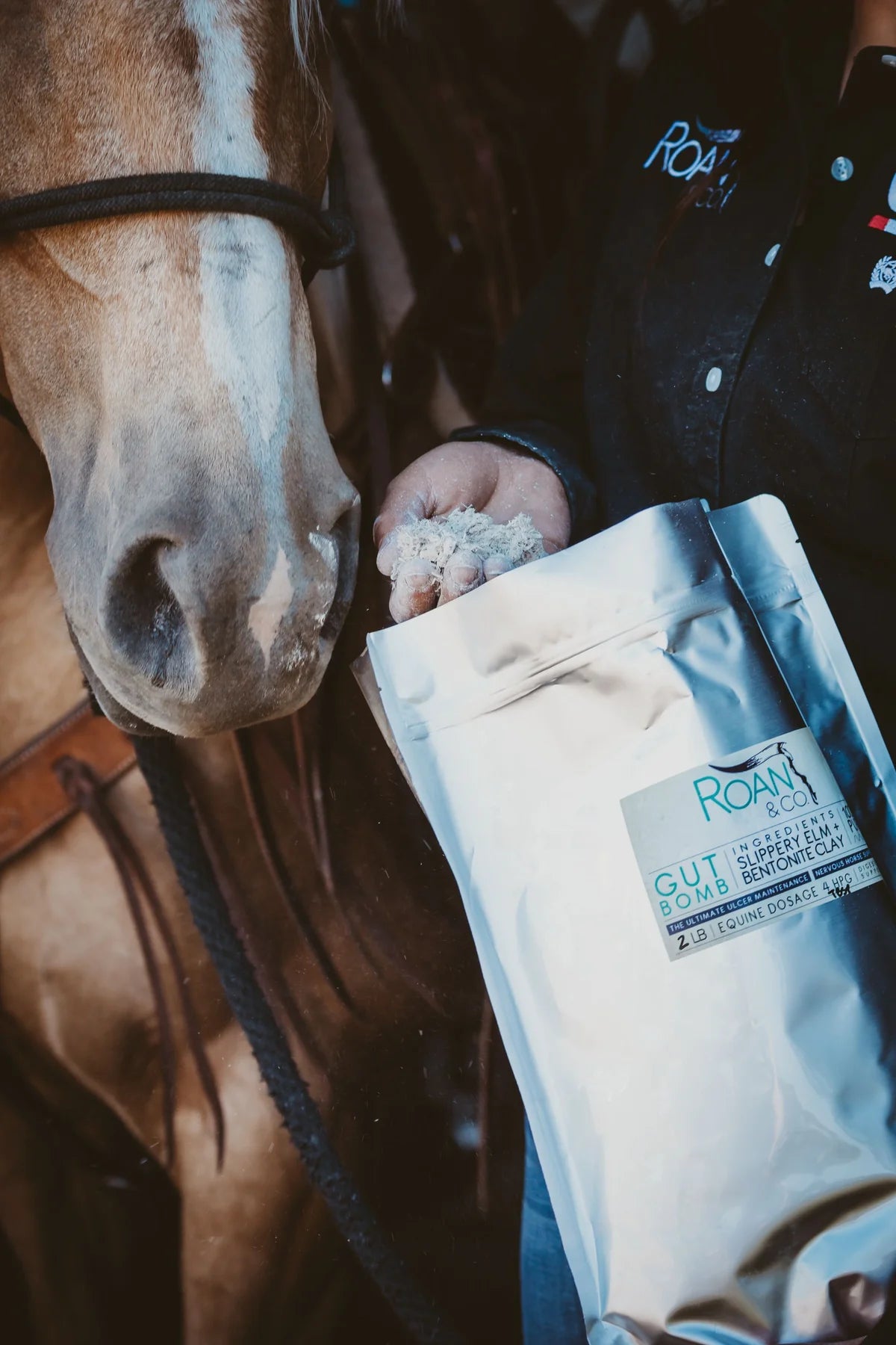 Gut Bomb by Roan & Co