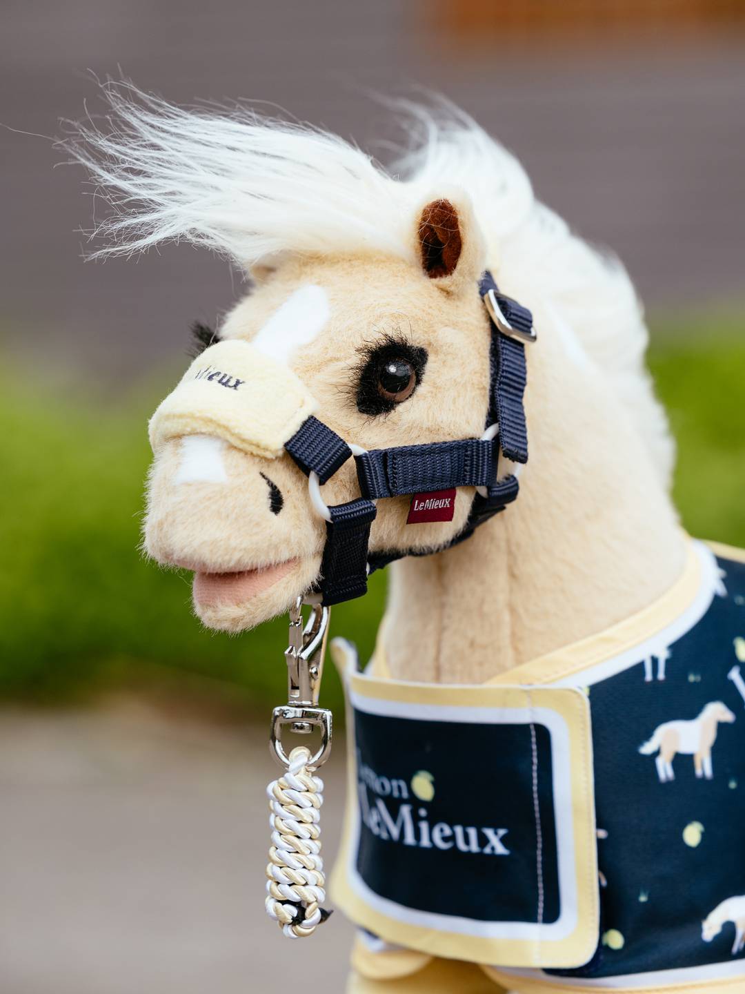 Lemieux Toy Headcollar & Leadrope