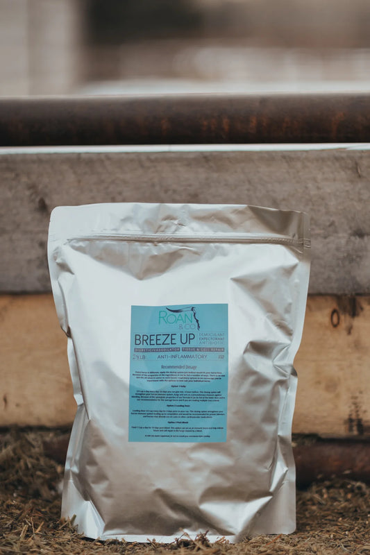 Breeze Up by Roan & Co