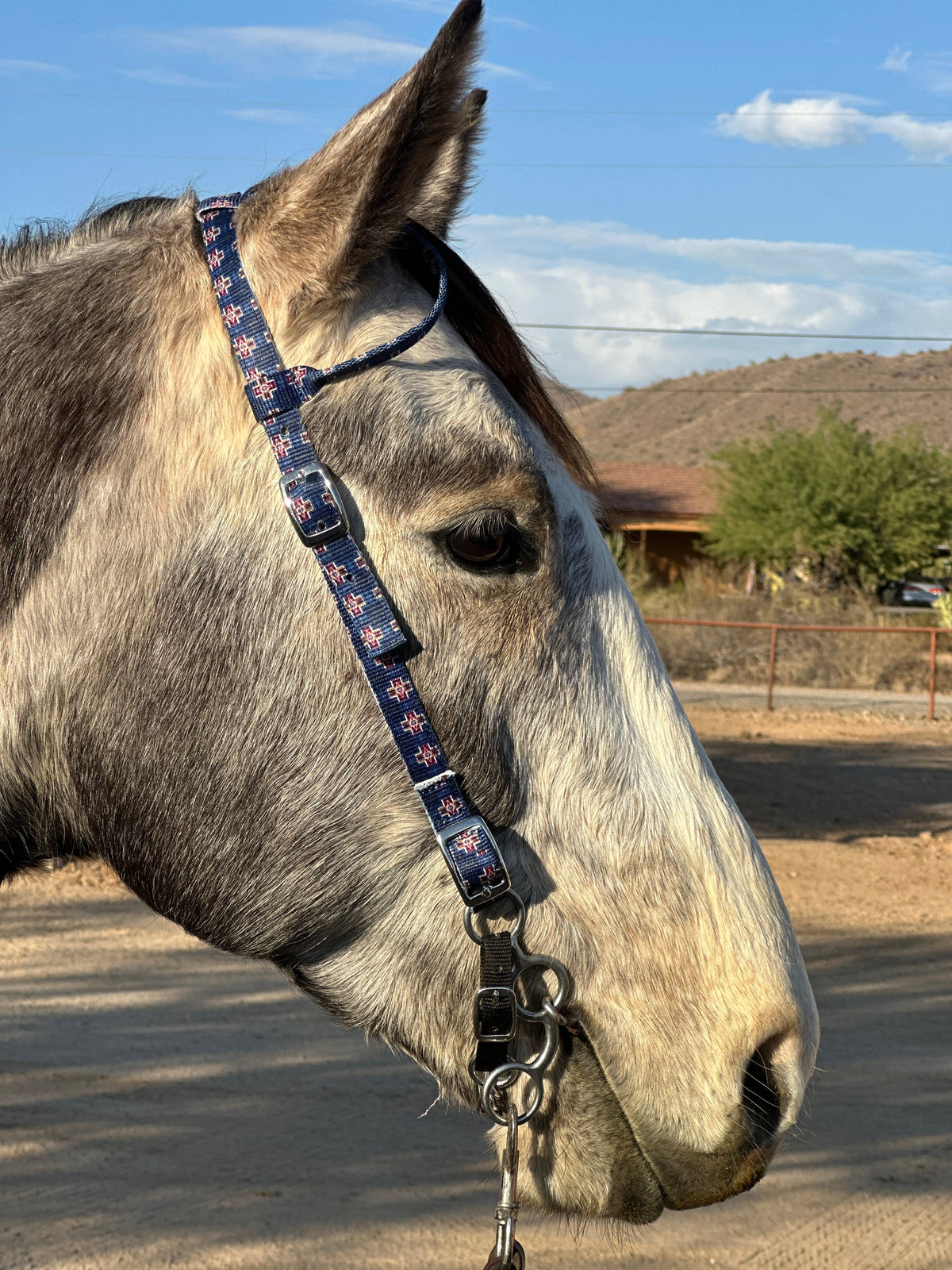 Nylon One Ear Headstall