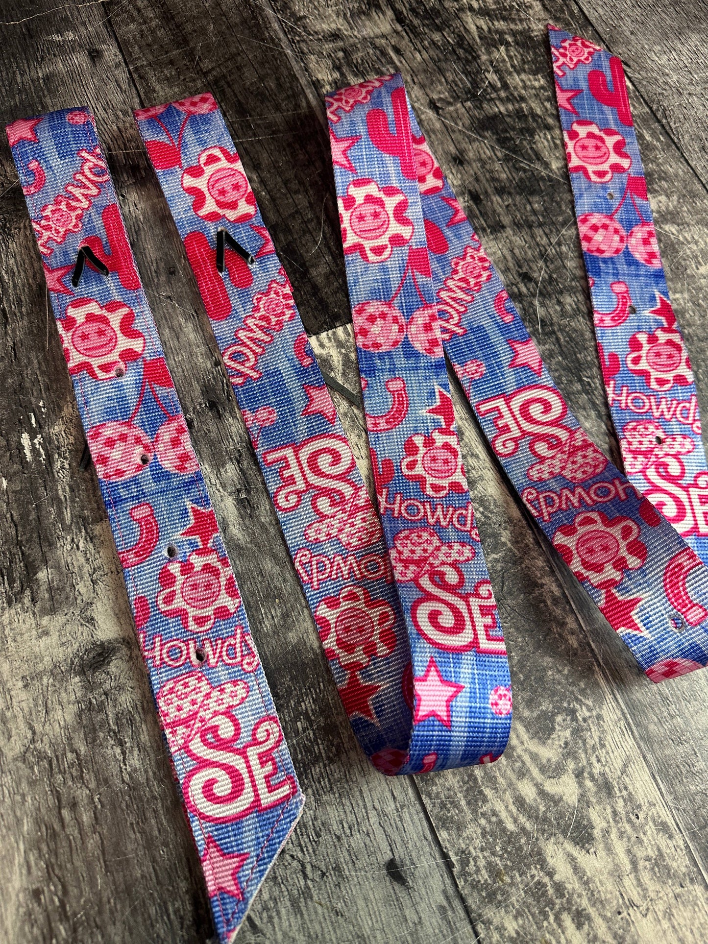 Nylon Latigo and Off Billet Set