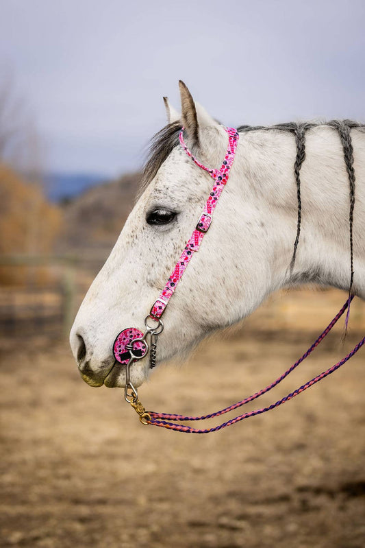 Nylon One Ear Headstall