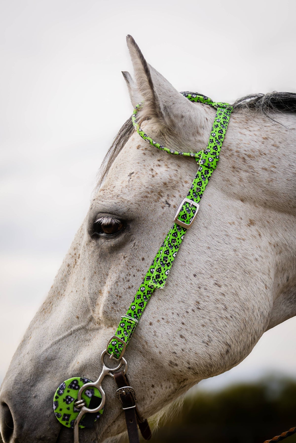 Nylon One Ear Headstall
