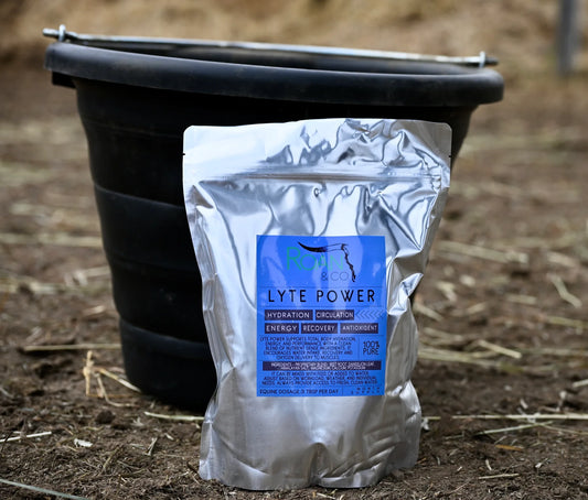 Lyte Power by Roan & Co.