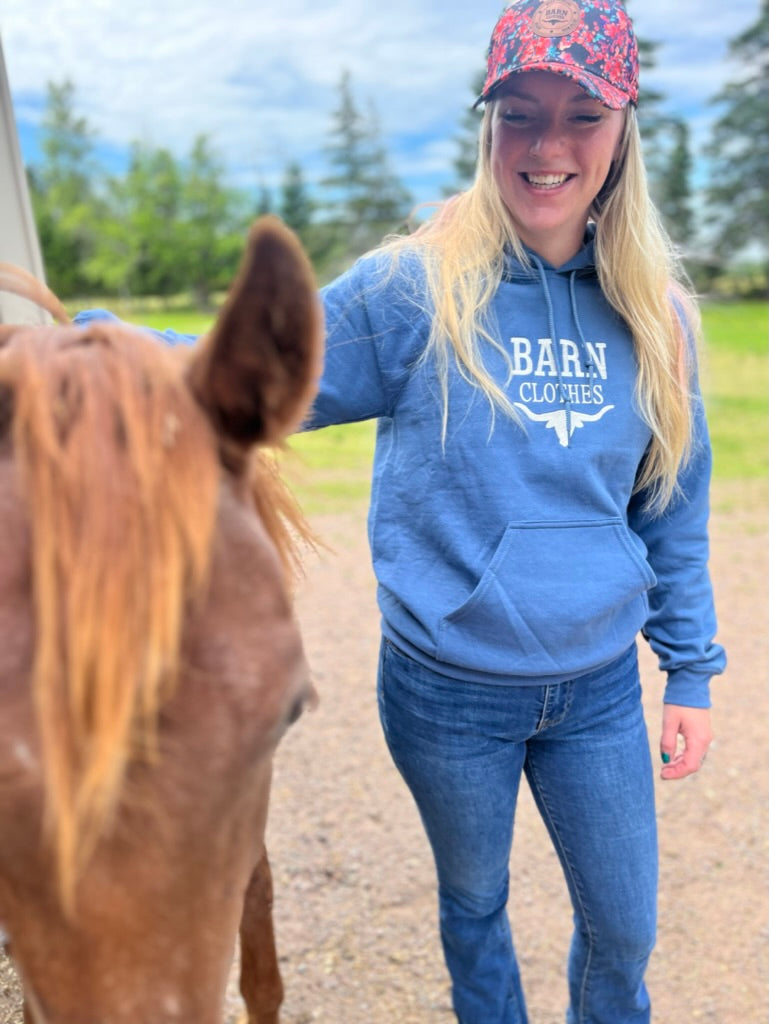 Barn Clothes Classic Hoodie