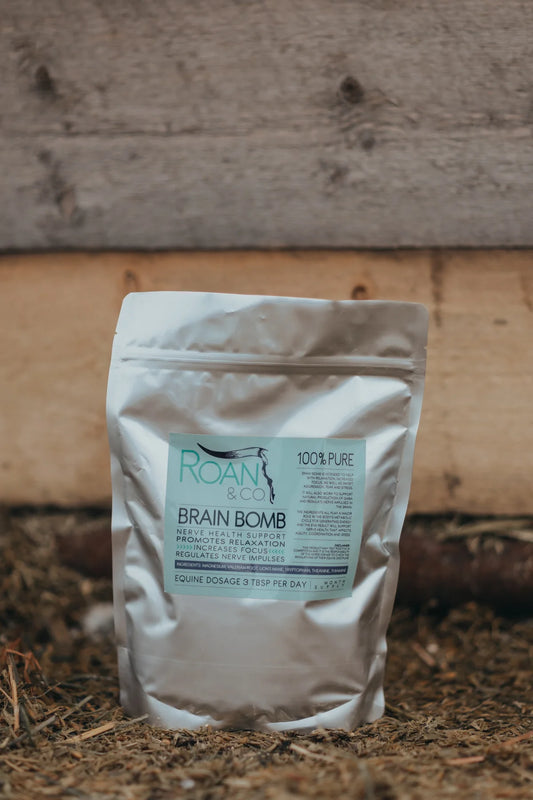 Brain Bomb by Roan & Co