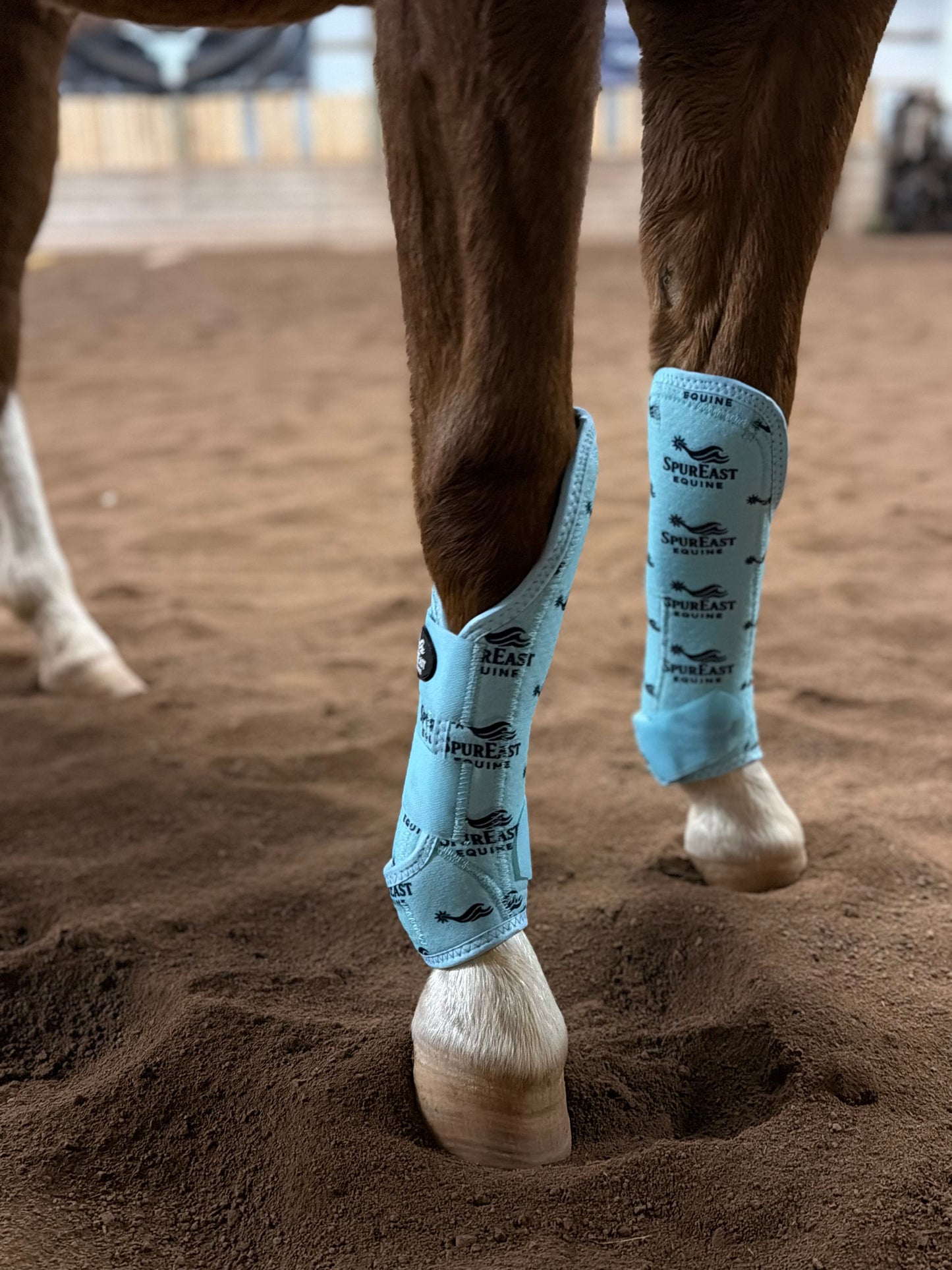 SpurEast Equine Sport Knee Boots