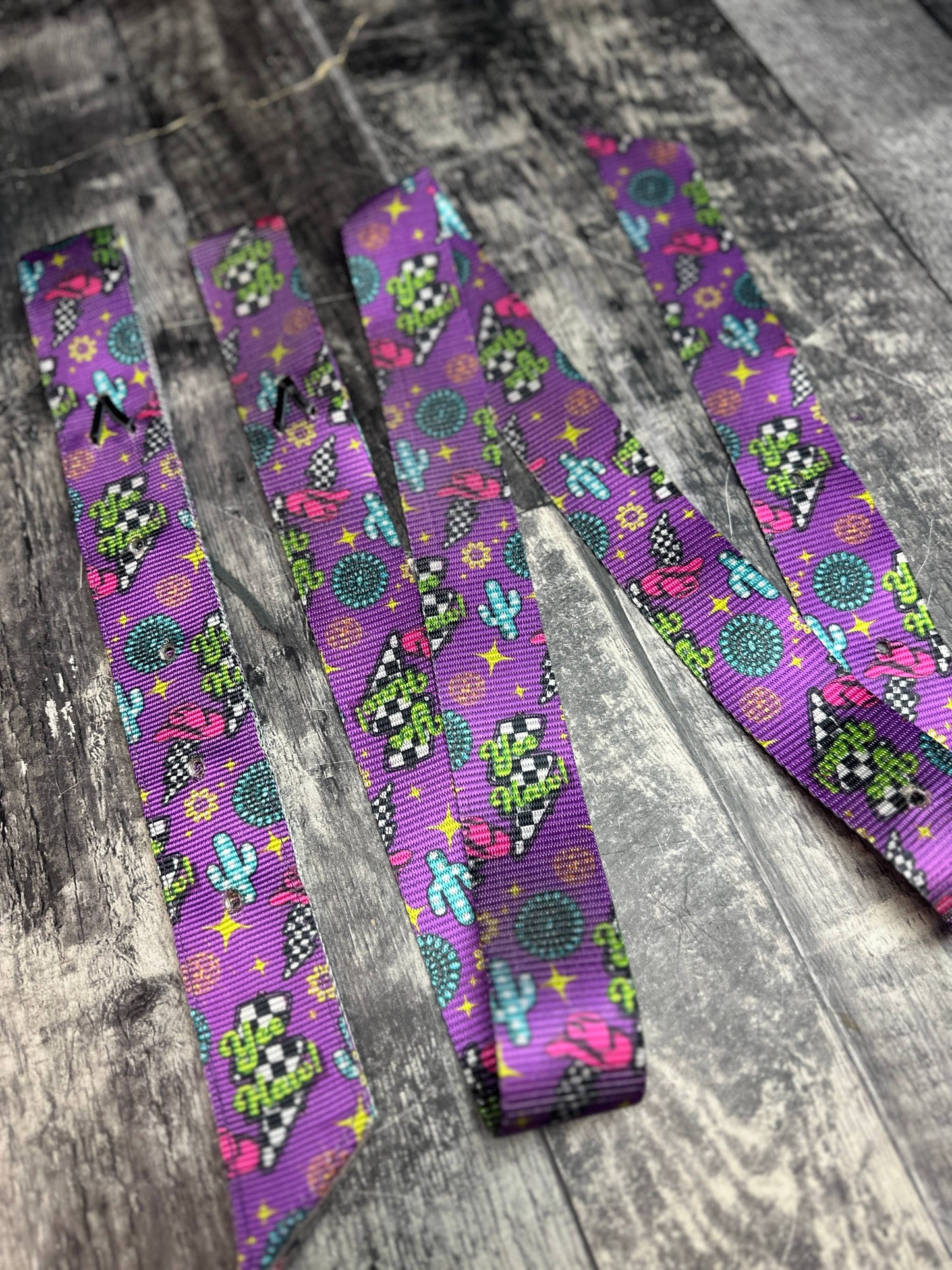 Nylon Latigo and Off Billet Set