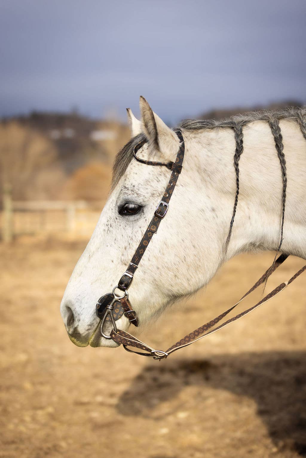 Nylon One Ear Headstall