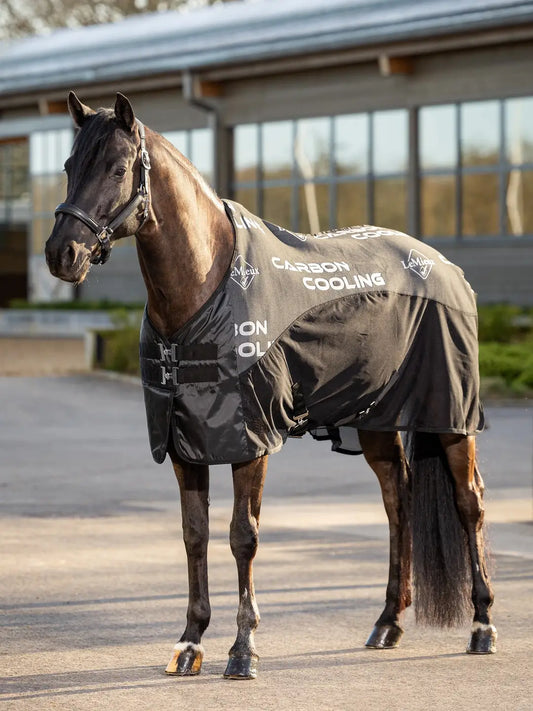 Lemieux Carbon Cooling Rug