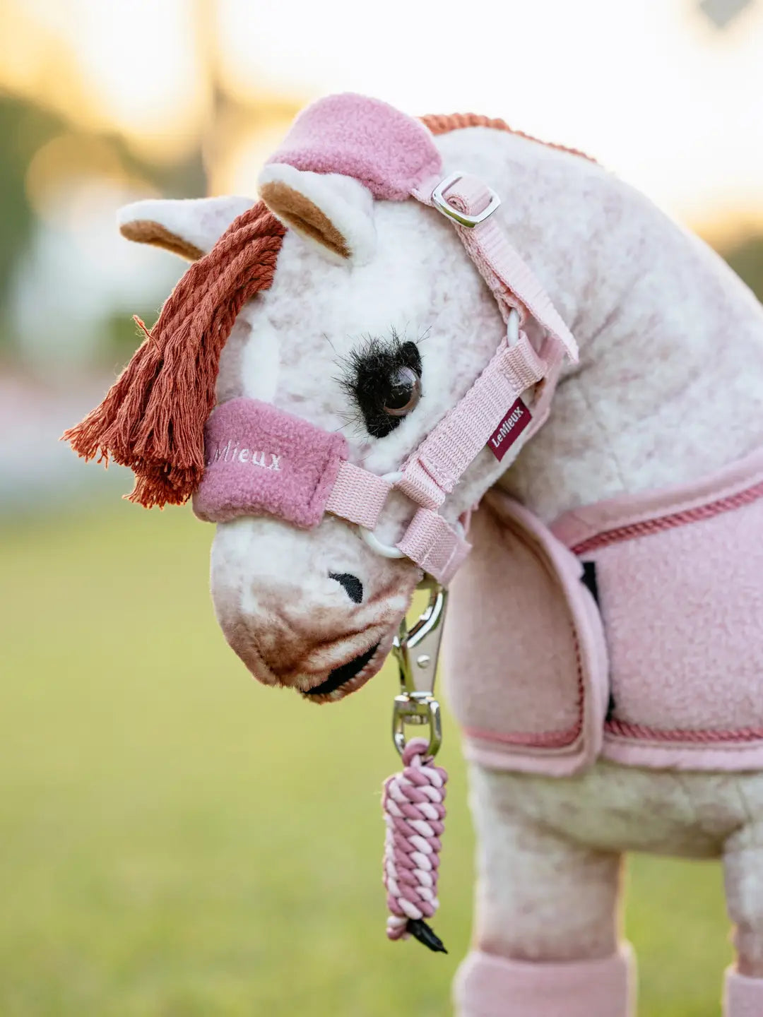 Lemieux Toy Headcollar & Leadrope