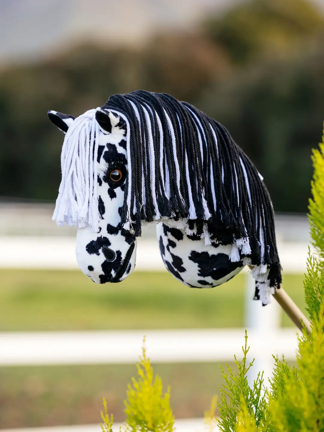 Lemieux Hobby Horse