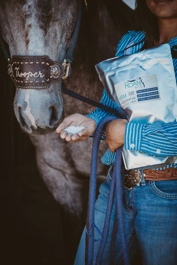 🇨🇦 MSM by Roan & Co